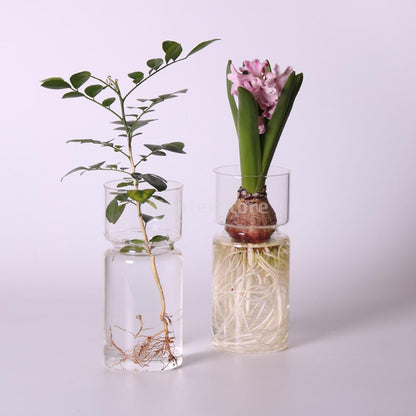 Hydroponic Plant Holder Container Bud Vase - Vase from Dear Cece - Just £14.99! Shop now at Dear Cece