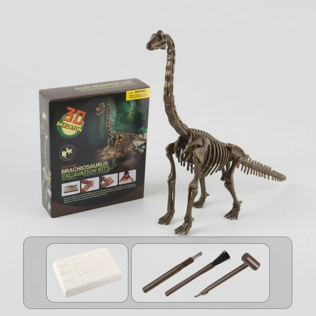 Dinosaur Fossil Excavation Kit for Kids