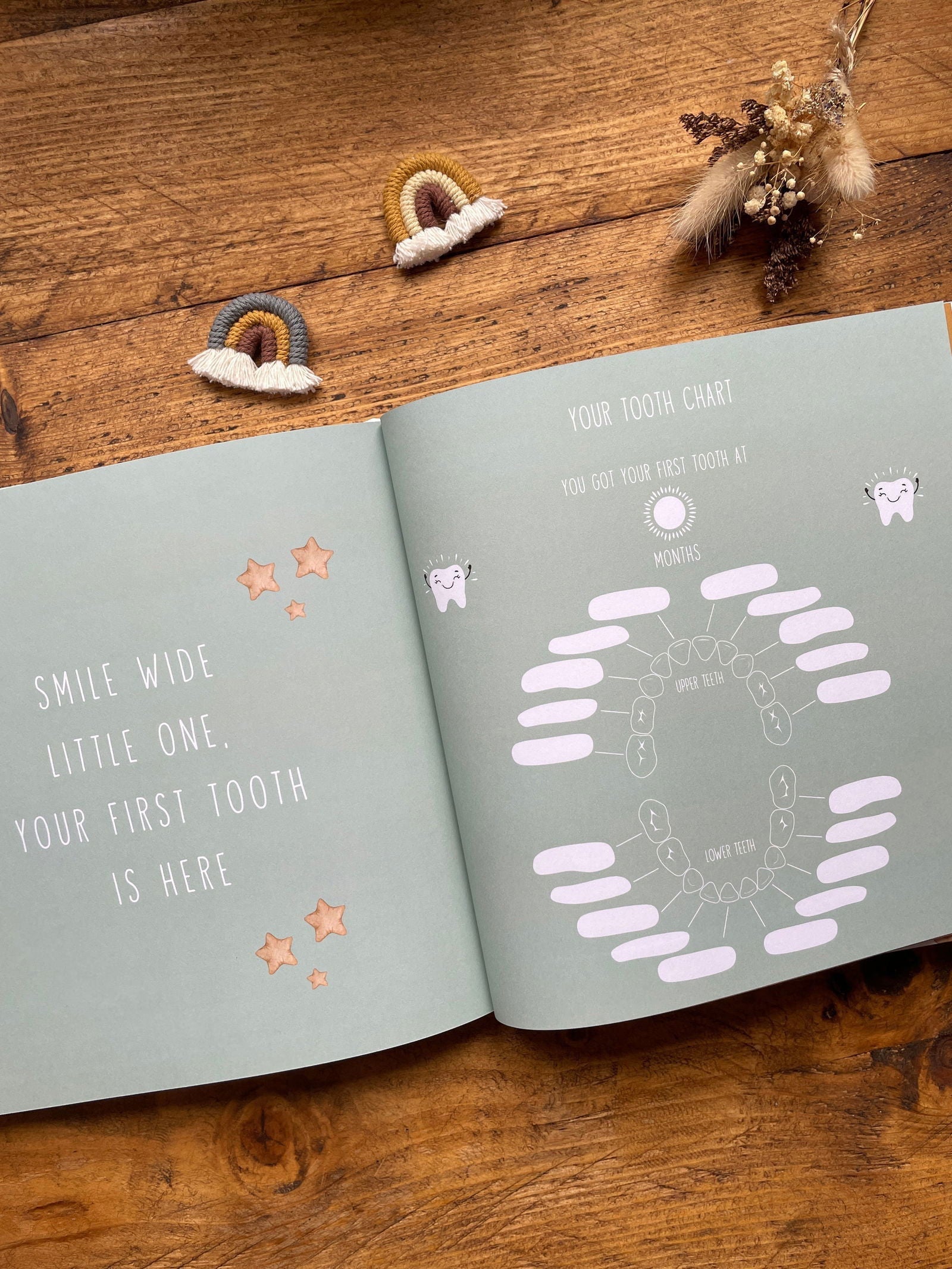 Open book with tooth chart and decorative elements on a wooden surface