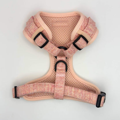 Pink dog harness with black buckles on a light gray background