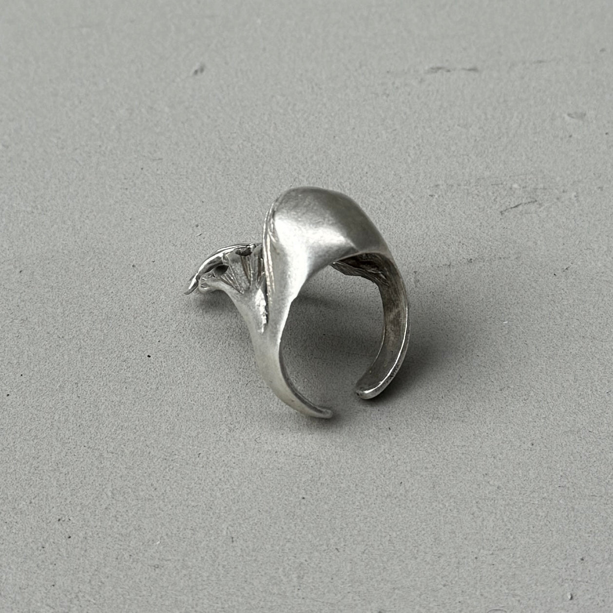 Silver ring on a light gray background