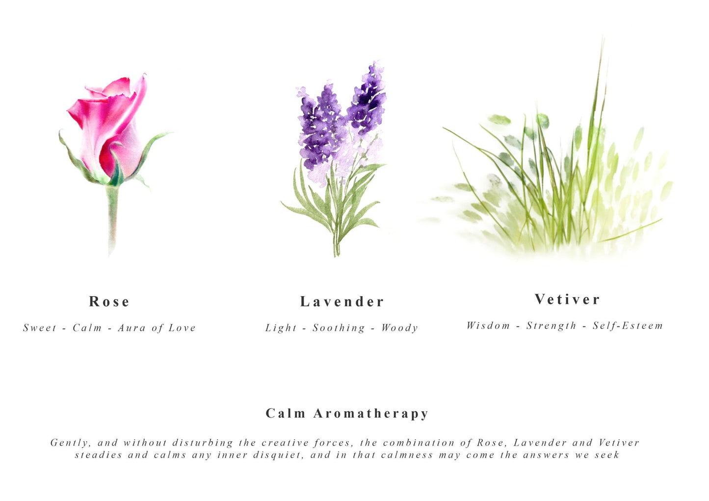 Three types of flowers with their names and meanings on a white background