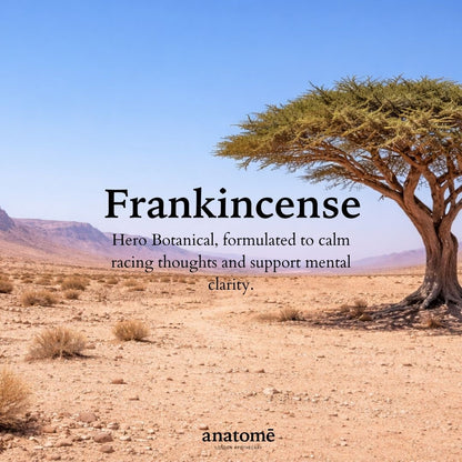 Desert landscape with a frankincense tree and promotional text for 'Frankincense' by Anatome.