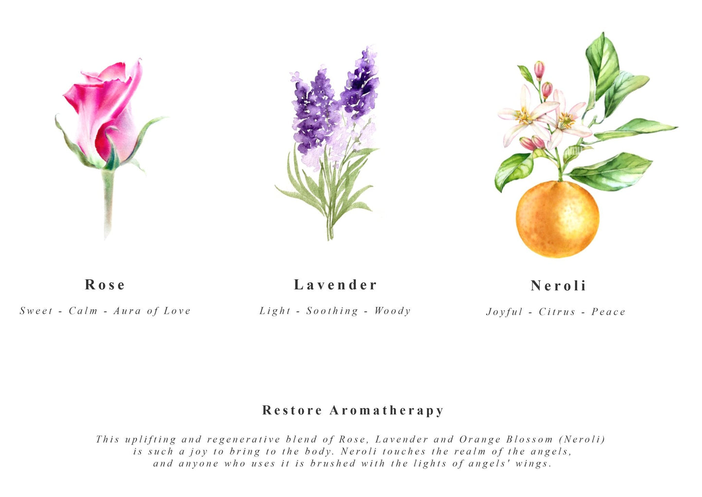 Illustrations of a rose, lavender, and neroli with their names and descriptions on a white background.