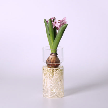 Hydroponic Plant Holder Container Bud Vase - Vase from Dear Cece - Just £14.99! Shop now at Dear Cece